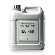 Mandarin & Ginger Hand & Body Wash 5L