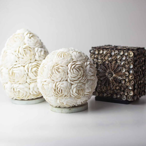 Boho Sea Shell Lamp