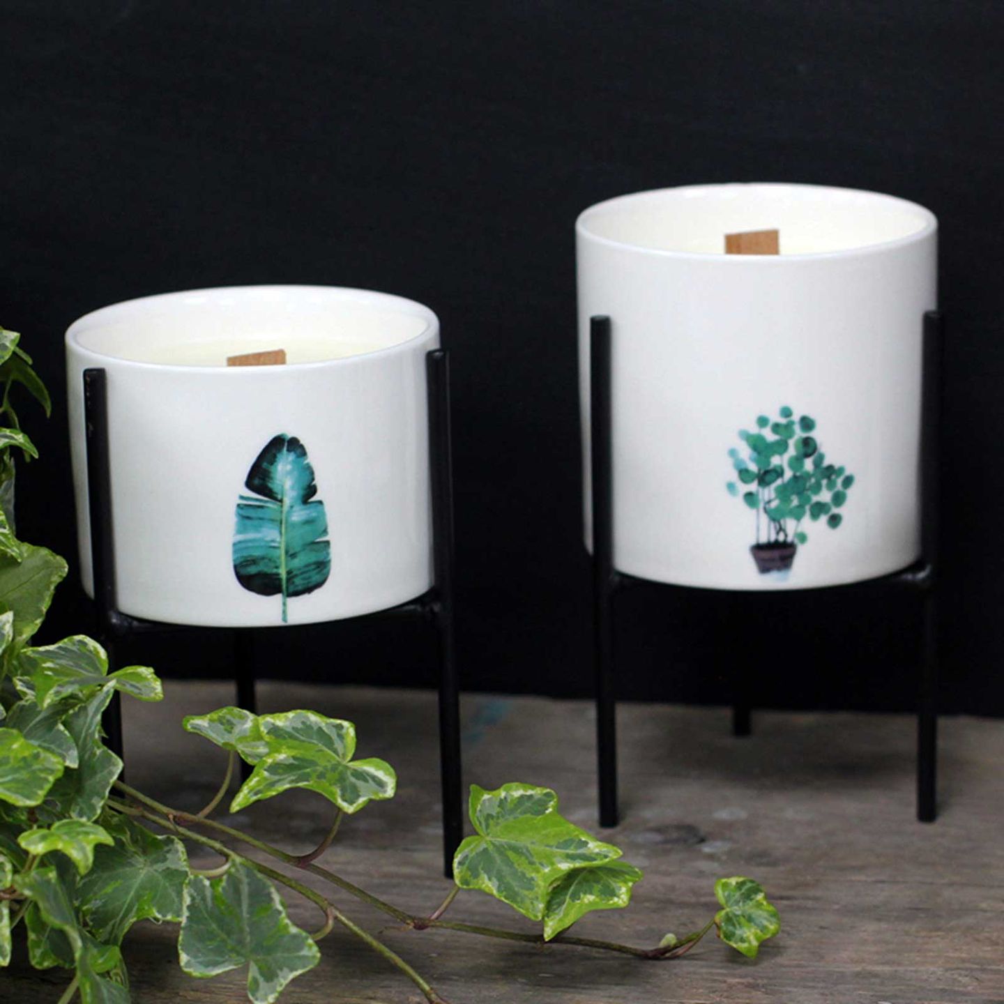 Botanical Wooden Wick Soy Candles