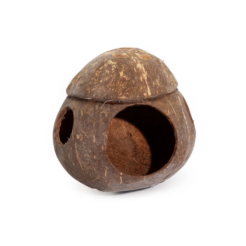 Natural Coconut Bird House - With Hook - 13cm