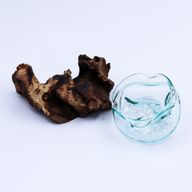 Molten Glass Wavy Bowl on Wood