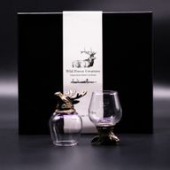 Gift Set of 6 Bottom Up Glasses (100ml) - Wild Forrest Creatures