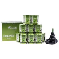 Aromatika Masala Backflow Incense - Eucalyptus