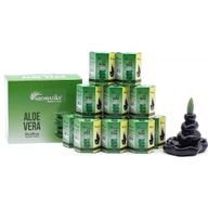 Aromatika Masala Backflow Incense - Aloe Vera