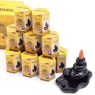 Aromatika Masala Backflow Incense - Coconut & Mango