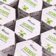 Aromatika Masala Backflow Incense - Jasmine