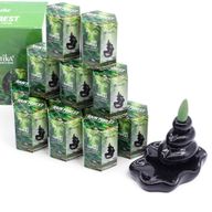Aromatika Masala Backflow Incense - Rain Forest