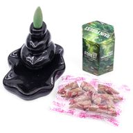 Aromatika Masala Backflow Incense - Rain Forest