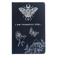 Black & Silver Gratitude Journal- 120 pages - I am Thankful For