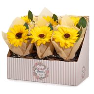 Ready to Retail Soap Flowers - Single Sunflower Bouquet