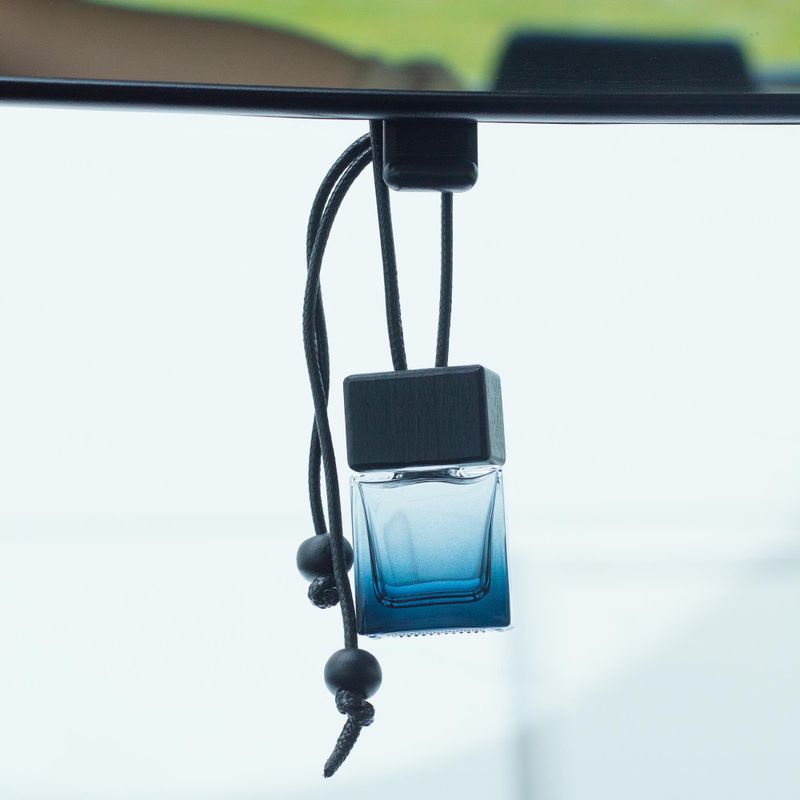 Black Car Diffuser Hanging Bottles - 8ml - (3 assorted designs x 4)