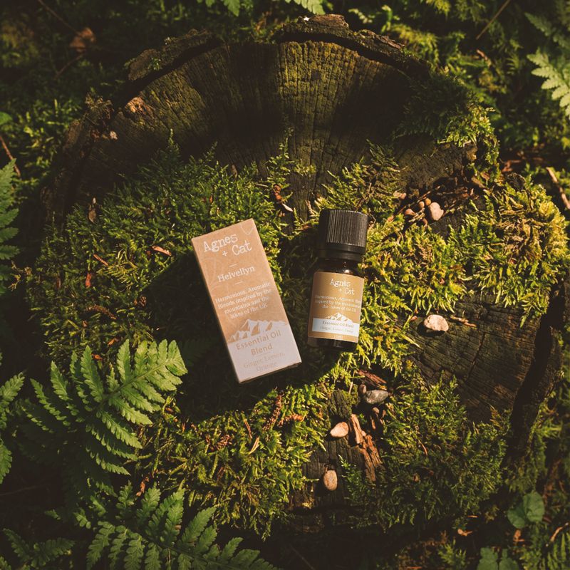 Essential Oil Blend - Skiddaw Box - Orange, Lavender & Spruce