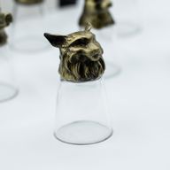 Gift Set of 12 Bottom Up Shot Glasses (25ml) - Forest & Mystical Creatures