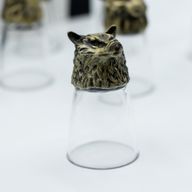 Gift Set of 12 Bottom Up Shot Glasses (25ml) - Forest & Mystical Creatures