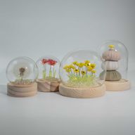 Floral Glow Garden Dome - 20 Tulips - LED USB