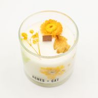 Agnes & Cat Botanical Soy Candle - Rydal Oudh