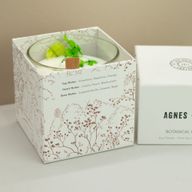 Agnes & Cat Botanical Soy Candle - Fellberry