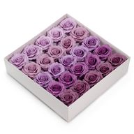 Craft Soap Flower - (5-Layer) Romantic Rose - Graduated Selection - Lavender Blush