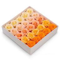 Craft Soap Flower - (5-Layer) Romantic Rose - Graduated Selection - Peach Blush
