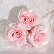 Craft Soap Flower - (5-Layer) Decorative Only Rose - Silk Trimmed - Blush Pink