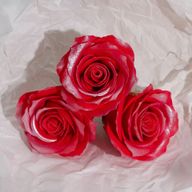 Craft Soap Flower - (5-Layer) Decorative Only Rose - Silk Trimmed - Frosted Ruby