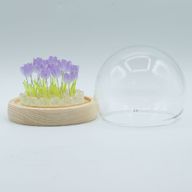 Floral Glow Garden Dome - 20 Tulips - LED USB