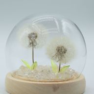 Floral Glow Garden Dome - 2 Dandelions - LED USB