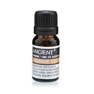 Essential and Base Oils Starter Set