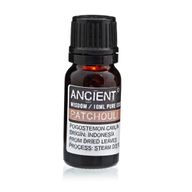 Essential and Base Oils Starter Set