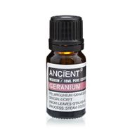 Essential and Base Oils Starter Set