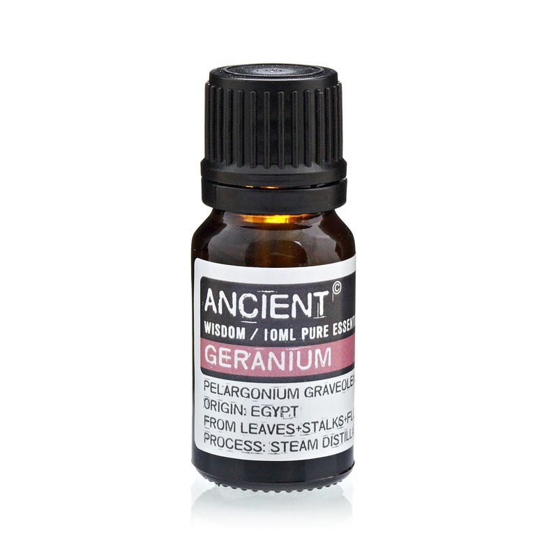 Essential and Base Oils Starter Set