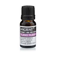 Essential and Base Oils Starter Set