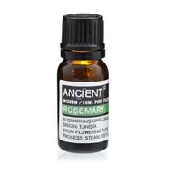 Essential and Base Oils Starter Set