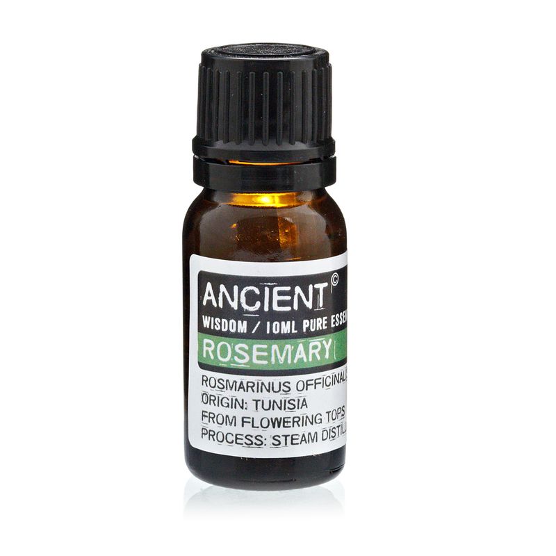 Essential and Base Oils Starter Set