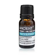 Essential and Base Oils Starter Set