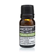 Essential and Base Oils Starter Set