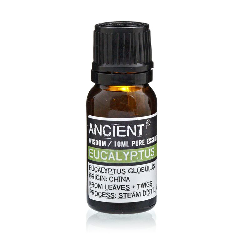 Essential and Base Oils Starter Set