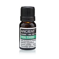 Essential and Base Oils Starter Set