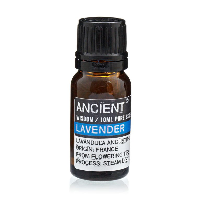 Essential and Base Oils Starter Set