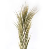 Seagrass Homeware Starter