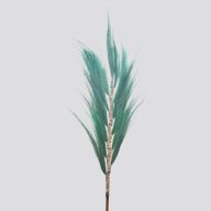 Seagrass Homeware Starter