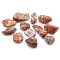 Medium African Tumble Stones Starter