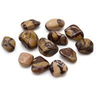 Medium African Tumble Stones Starter