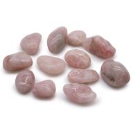 Medium African Tumble Stones Starter