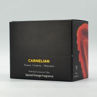 Melt Eaze Wax Melts 50g - Spiced Orange