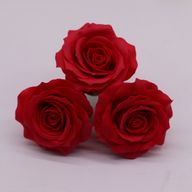 Craft Soap Flower - (5-Layer) Romatic Rose - Red