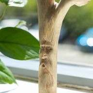 Handmade Parasite Wood Art Carving - Greenman