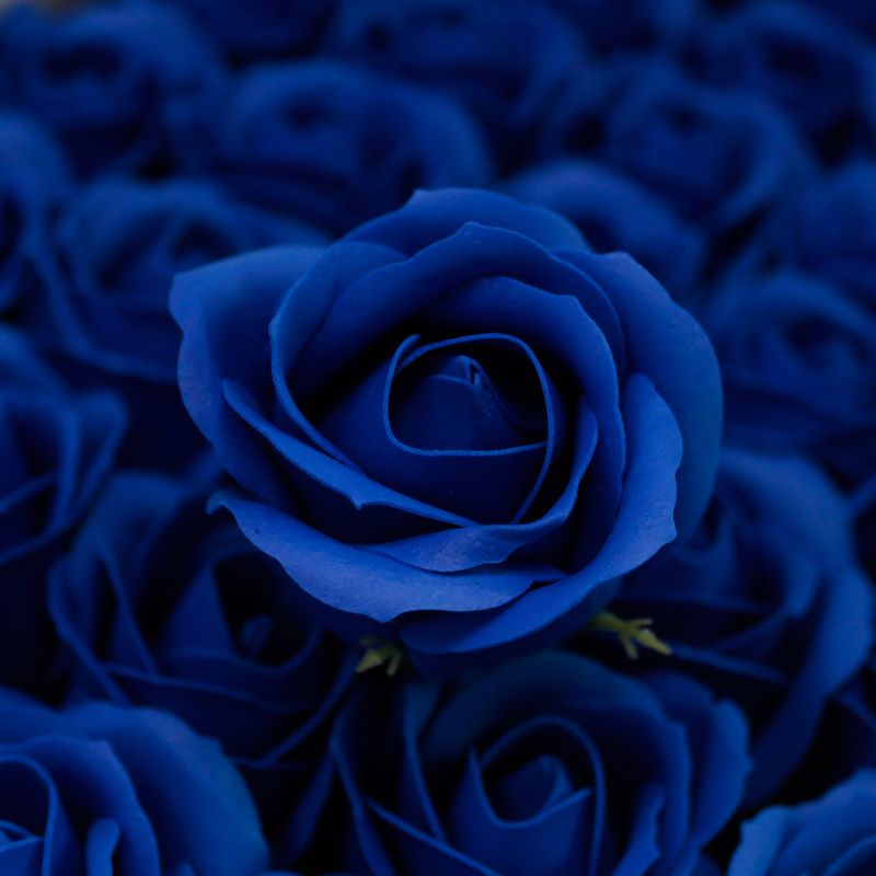 Flower Soap for Craft - Med Rose - Royal Blue
