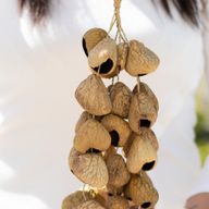Med Pangi Seed Shell - Natural Nut Shaker (30 Shells)