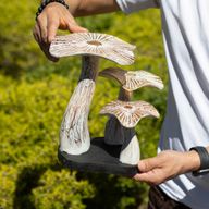 Golden Mushroom Art - Whitewash - Medium (25x25cm)